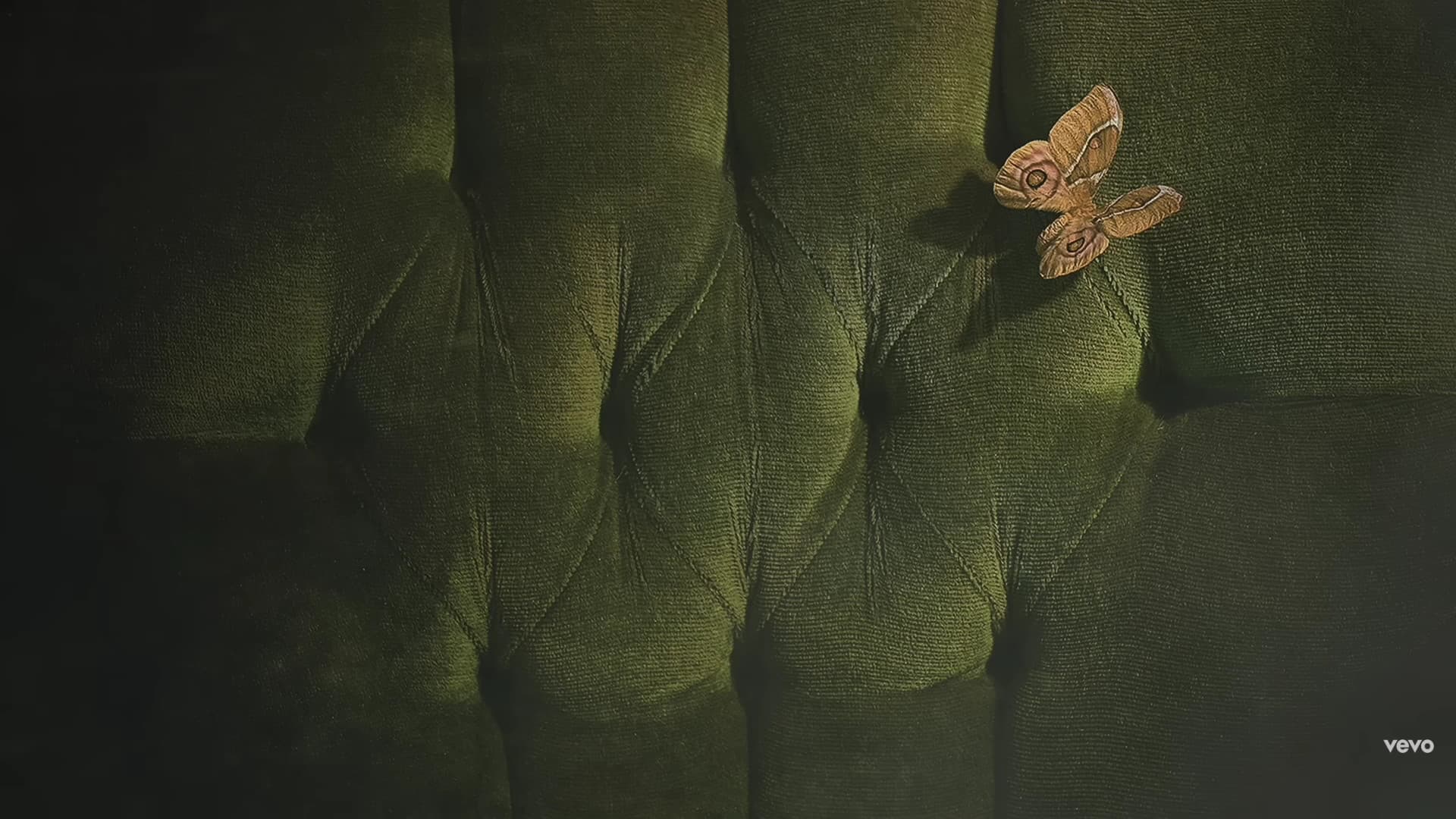 AURORA - Home
