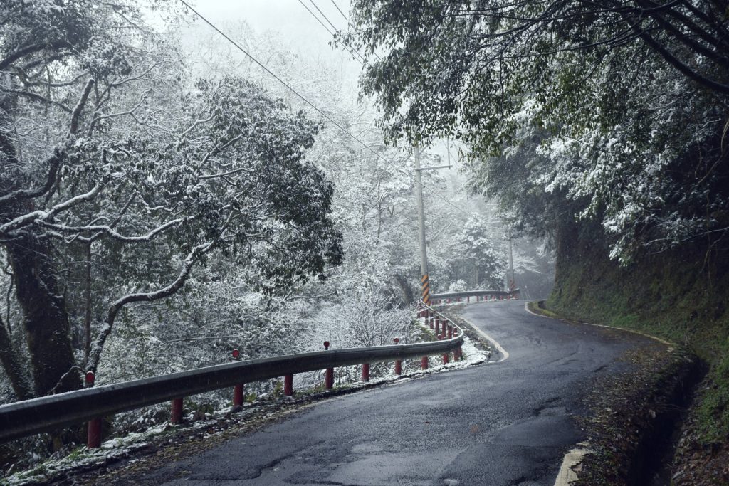 白雪紛紛何所似？